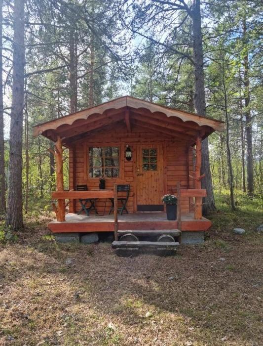 Torfoss Gard, Hytte Utleie, Campingvogn Og Bobil Plasser Potka Εξωτερικό φωτογραφία