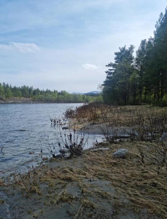 Torfoss Gard, Hytte Utleie, Campingvogn Og Bobil Plasser Potka Εξωτερικό φωτογραφία