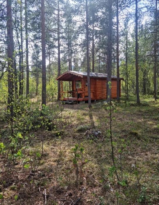 Torfoss Gard, Hytte Utleie, Campingvogn Og Bobil Plasser Potka Εξωτερικό φωτογραφία