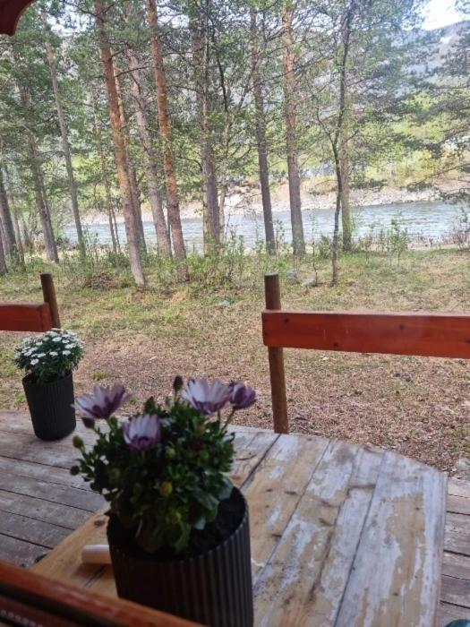 Torfoss Gard, Hytte Utleie, Campingvogn Og Bobil Plasser Potka Εξωτερικό φωτογραφία