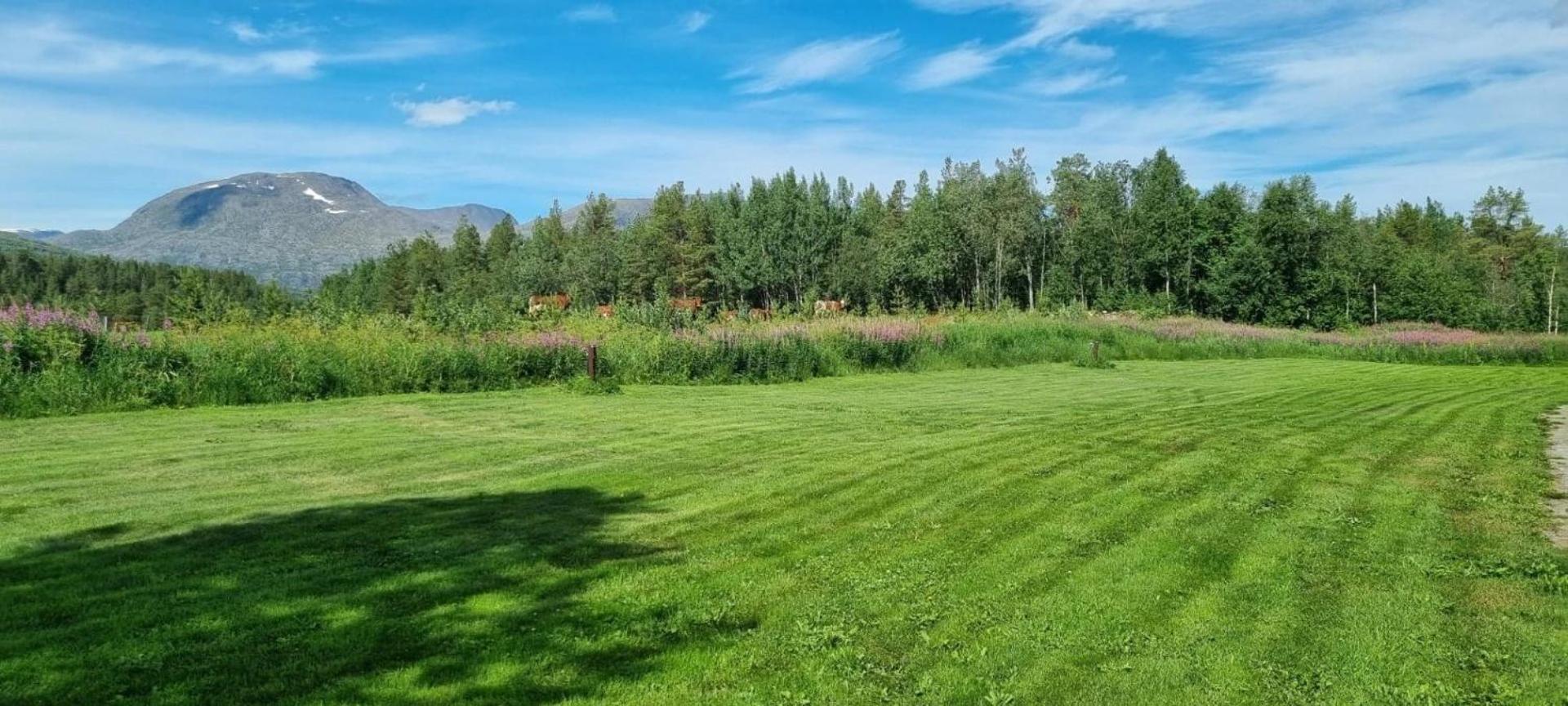 Torfoss Gard, Hytte Utleie, Campingvogn Og Bobil Plasser Potka Εξωτερικό φωτογραφία