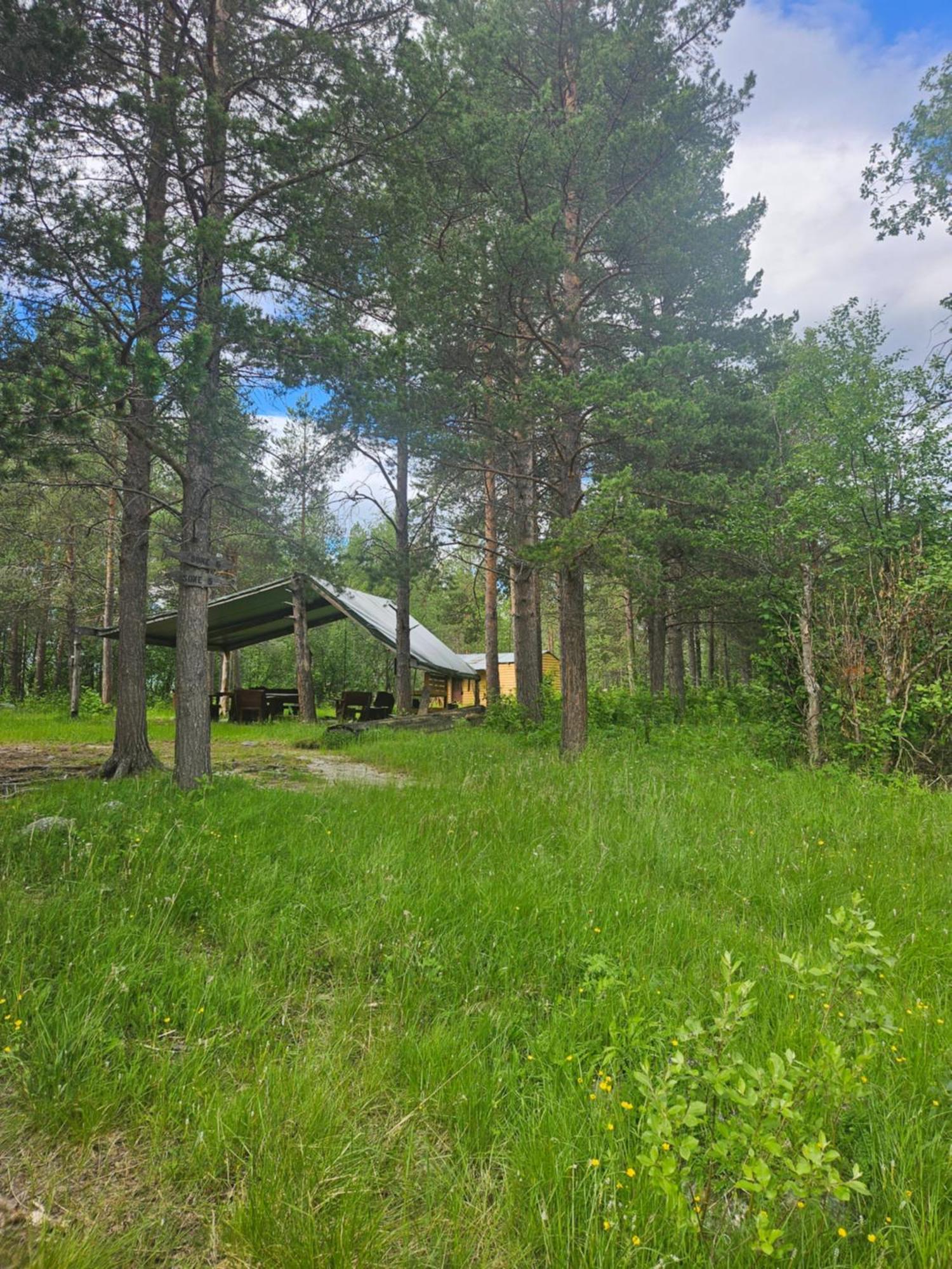 Torfoss Gard, Hytte Utleie, Campingvogn Og Bobil Plasser Potka Εξωτερικό φωτογραφία